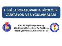 Prof. Dr. Erg&uuml;l Belge Kurutaş