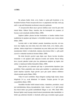 1 1.GİRİŞ Bu &ccedil;alışma fındık, fıstık, ceviz, badem ve polen gibi