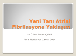 &Ouml;zlem &Ouml;zcan &Ccedil;elebi - 4. atriyal fibrilasyon zirvesi 2015