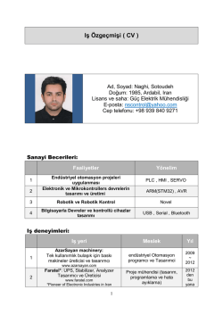 Iş &Ouml;zge&ccedil;mişi ( CV )