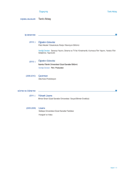 Europass CV - Plato Meslek Y&uuml;ksekokulu