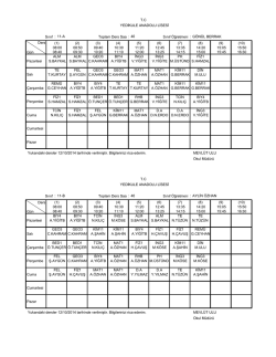 11.sınıflar ders programı