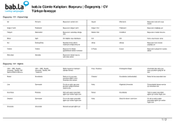 C&uuml;mle Kalıpları: Başvuru | &Ouml;zge&ccedil;miş / CV (T&uuml;rk&ccedil;e-İsve&ccedil;&ccedil;e)
