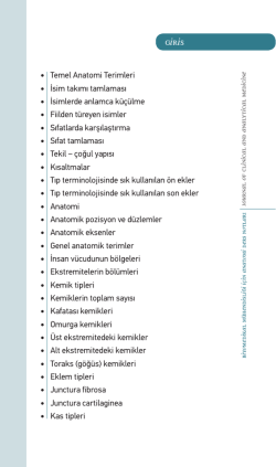 Temel Anatomi Terimleri İsim takımı tamlaması İsimlerde anlamca