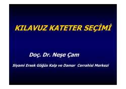 kılavuz kateter se&ccedil;imi