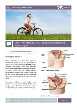 Mesane nedir? Aşırı Aktif Mesane (AAM) semptomları hakkında