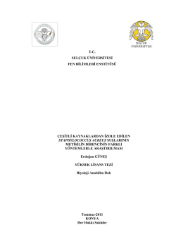 T.C. SEL&Ccedil;UK &Uuml;NĠVERSĠTESĠ FEN BĠLĠMLERĠ ENSTĠT&Uuml;S&Uuml;