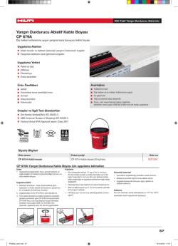 PDFCP 679A_Yangın_ Durdurucu_Kablo_Boyası, T&uuml;rk&ccedil;e