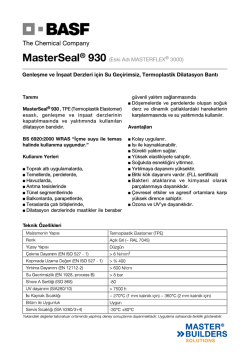 MasterSeal&reg; 930 (Eski Adı MASTERFLEX&reg; 3000