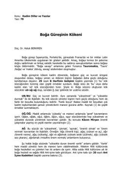 Boğa G&uuml;reşinin K&ouml;keni