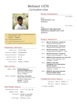 Mehmet G&uml;UN Curriculum vitae