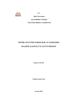 10043232 - Sosyal Bilimler Enstit&uuml;s&uuml;