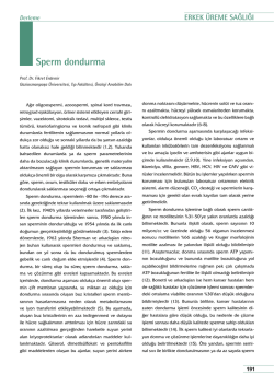 Sperm dondurma ERKEK ÜREME SAĞLIĞI