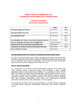 İLK HALKA ARZ İZAHNAME &Ouml;RNEĞİ