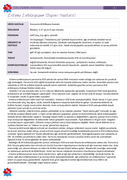 bbbbbbbbbbbb - Yunus Emre &Ccedil;ocuk Yuvası