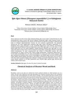 İğde Ağacı Odunu (Elaeagnus angustifolia L.) ve