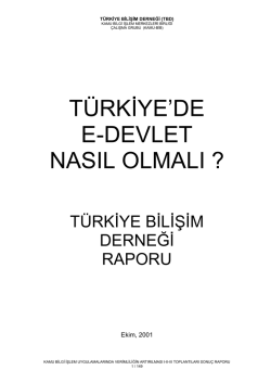 Rapor-123 - Türkiye Bilişim Derneği