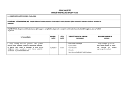 Enerji Verimliliği Eylem Planı