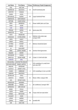 Last Name First Name Group Preliminary Project Assignment KO&Ccedil;