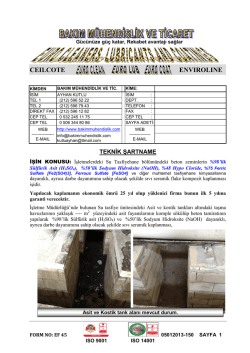 De-mineralize tank i&ccedil;i kaplaması