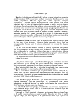 Nesin Felsefe K&ouml;y&uuml; Kuruluş. Nesin Matematik K&ouml;y&uuml; (NMK), halktan