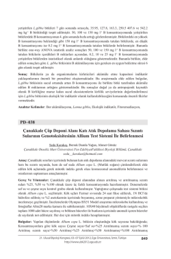 PD&ndash;038 &Ccedil;anakkale &Ccedil;&ouml;p Deponi Alanı Katı Atık Depolama Sahası