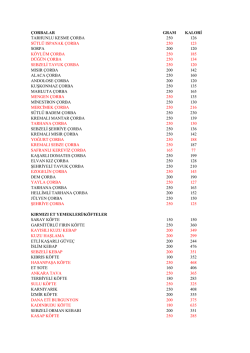&ccedil;orbalar gram kalori tarhunlu kesme &ccedil;orba 250 126 s&uuml;tl&uuml; ıspanak