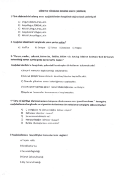 g&ouml;revde y&uuml;kselme deneme sınavı (memur)