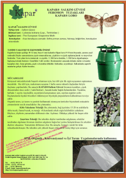 Salkım G&uuml;vesi - Kapar Organik Tarım