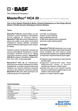 MasterRoc&reg; HCA 20(Eski Adı DELVO&reg; CRETE