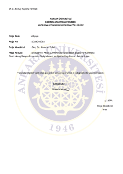 EK-11 Sonu&ccedil; Raporu Formatı Proje T&uuml;r&uuml;