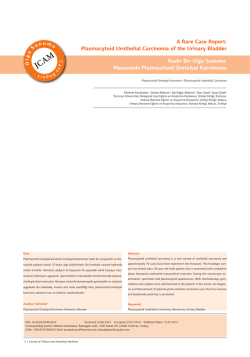 A Rare Case Report: Plasmacytoid Urothelial Carcinoma of the