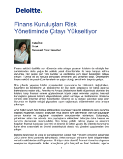 Finans Kuruluşları Risk Y&ouml;netiminde &Ccedil;ıtayı