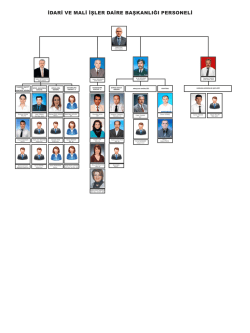 Organizasyon Şeması - idari ve mali işler daire başkanlığı