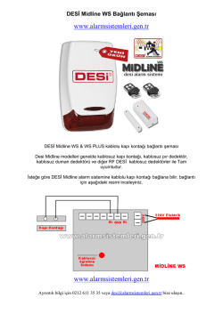 Desi Midline WS Baglanti semasi