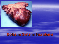 Dolaşım Sistemi Fizyolojisi