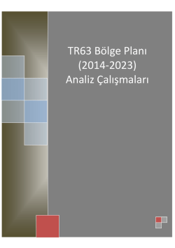 TR63 B&ouml;lge Planı (2014-2023) Analiz &Ccedil;alışmaları