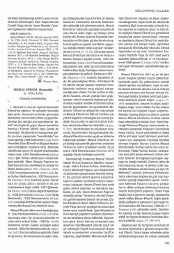 TDV DIA - İslam Ansiklopedisi