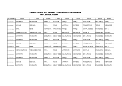 8.sınıflar teog hızlandırma akademik destek programı 07.04.2014