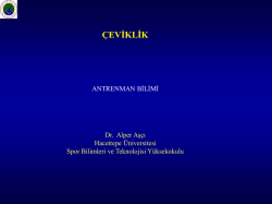 &ccedil;eviklik - Hacettepe &Uuml;niversitesi