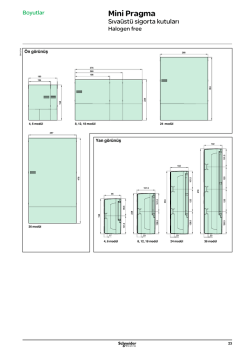 Mini Pragma - Schneider Electric