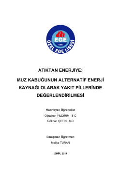 muz kabuğunun alternatif enerji kaynağı olarak
