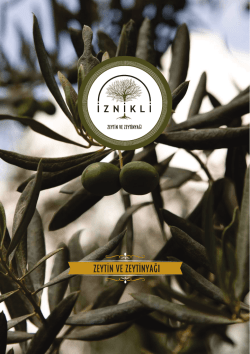 onlıne katalog - İznikli Gıda Zeytin ve Zeytinyağı