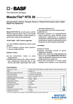MasterTile&reg; NTS 26 (Eski Adı Karrament&reg;) &Ccedil;imento Esaslı