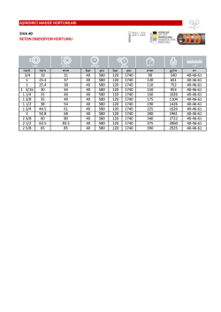 SIVA 40 BETON ENJEKSİYON HORTUMU inch mm mm bar psi bar