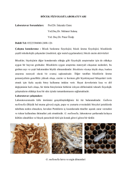 B&Ouml;CEK FİZYOLOJİ LABORATUVARI Laboratuvar Sorumluları: Prof
