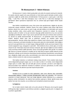 İlk Akvaryumum 2 &ndash; Bakım Kılavuzu