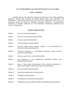 Su&ccedil; Gelirlerinin Aklanmasının &Ouml;nlenmesi Yasa Tasarısı 21 Mayıs