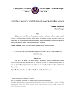 S&uuml;r&uuml;c&uuml; Davranışı ve S&uuml;r&uuml;c&uuml; Kişiliği Arasındaki İlişki Analizi