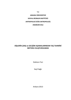 DİŞLERİN &Ccedil;IKIŞ ve GELİŞİM AŞAMALARINDAN YAŞ TAHMİNİ